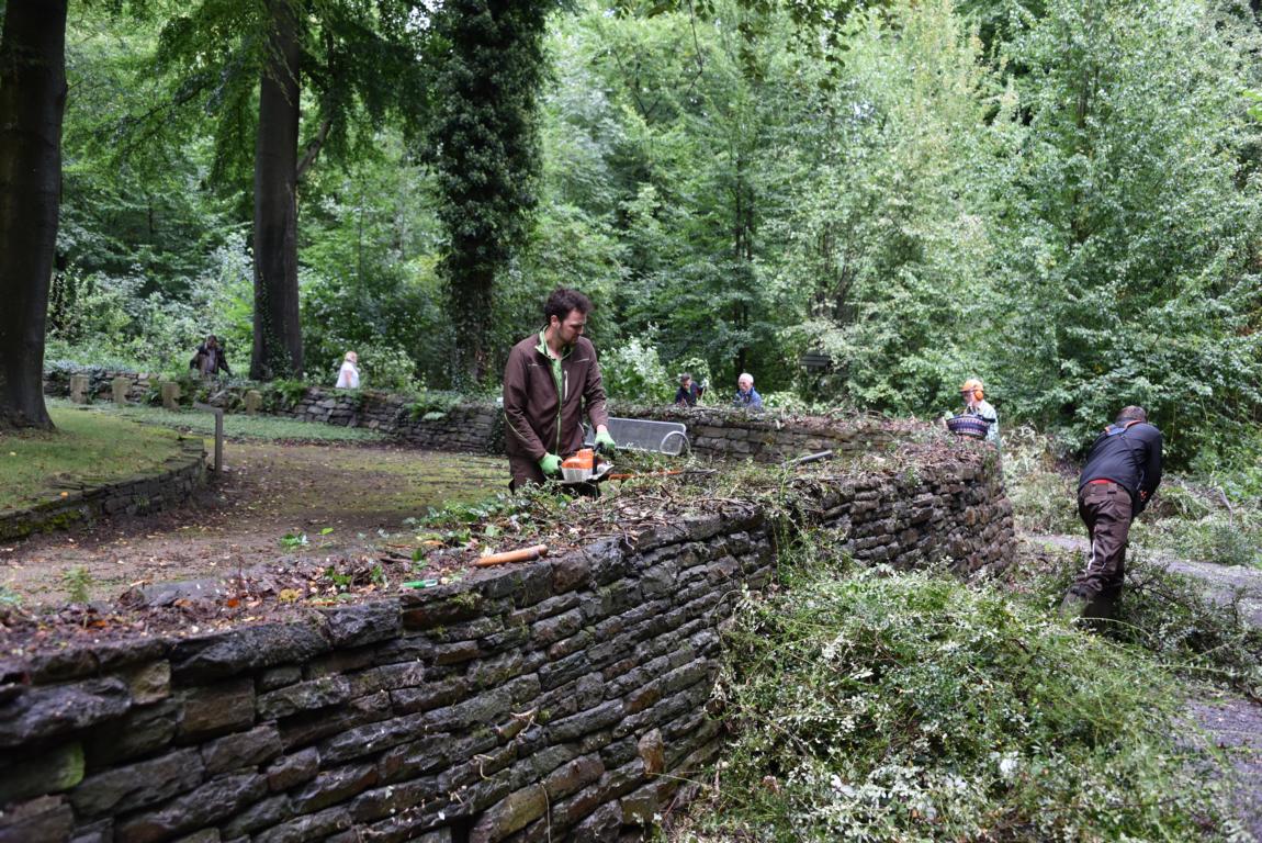 Beseitigung von wildwuchs