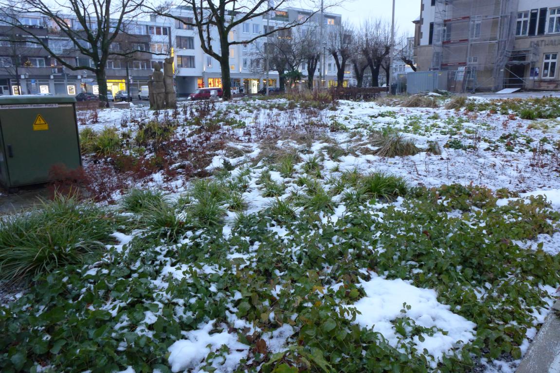 Kettwig stauden am rathausvorplatz