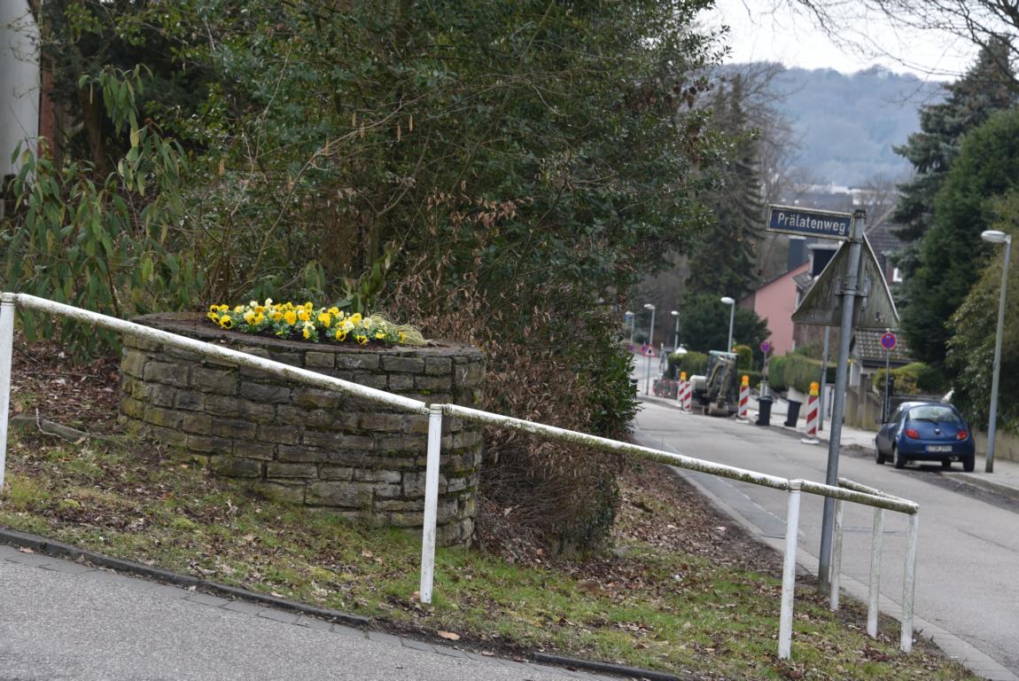 Frühling an der Schmachtenbergstraße